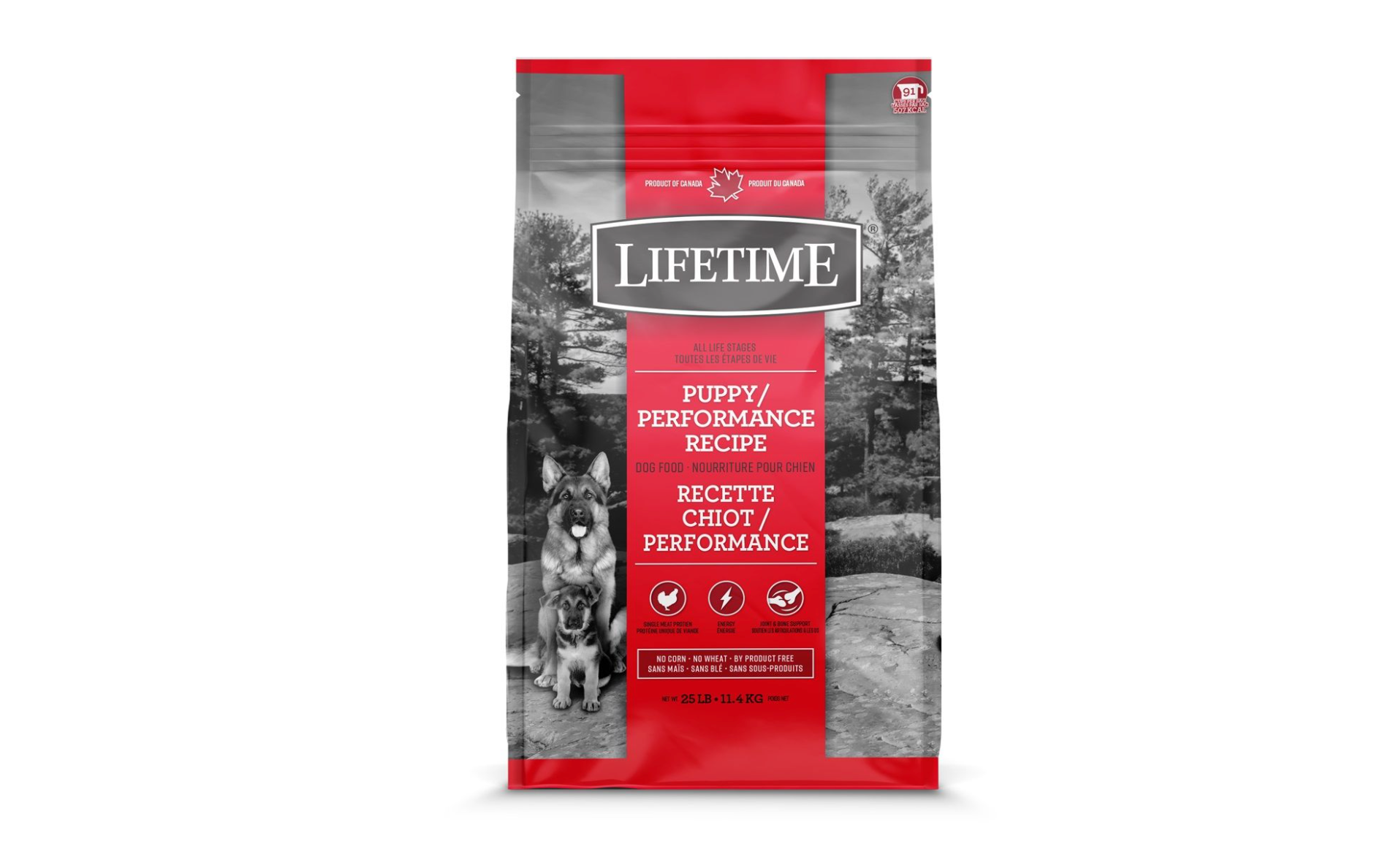 Lifetime Puppy/Performance - 11.4kg