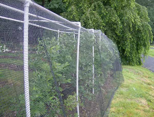 Quest Stretchy Bird D-Fence Netting 14' x 14'