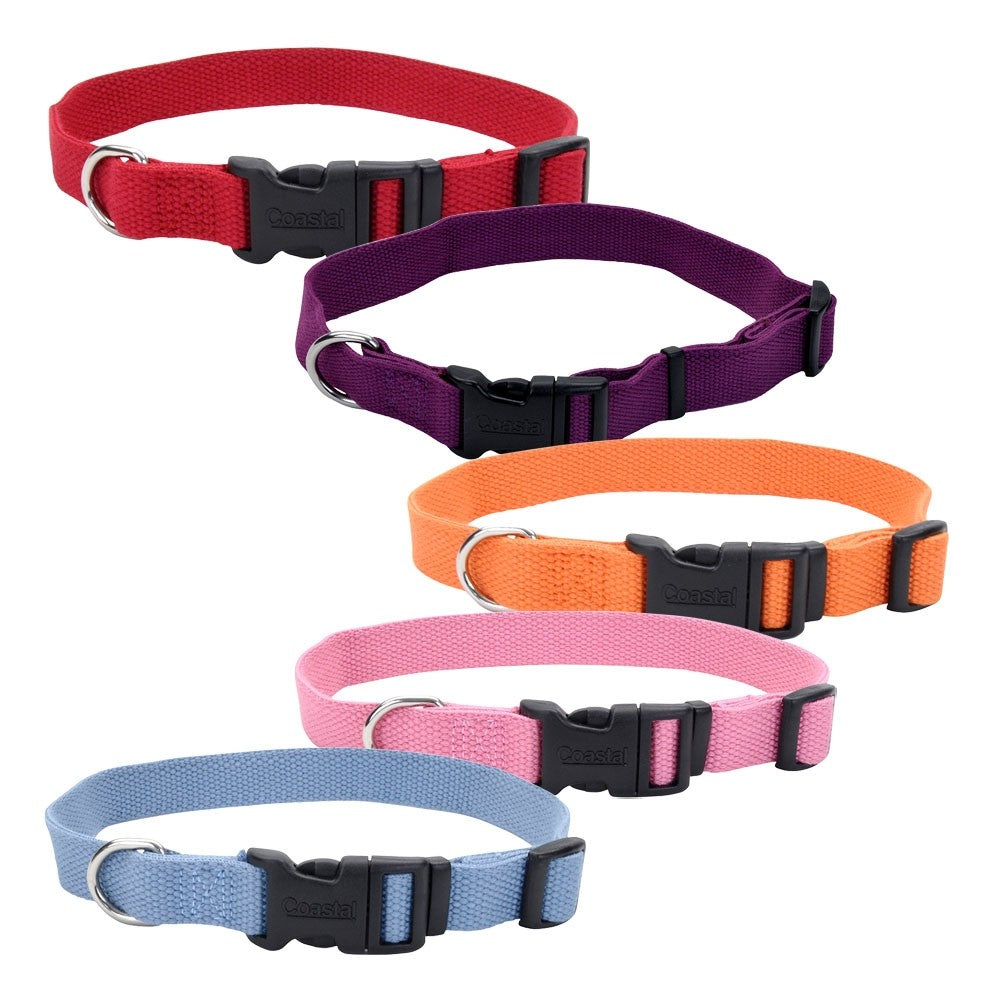 Coastal New Earth Adjustable Dog Collar Dog 5/8