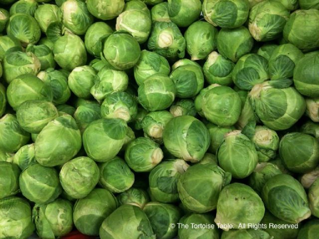 OSC Long Island Improved Brussels Sprouts Seeds - Packet