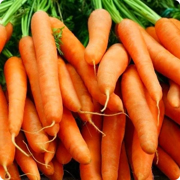 OSC Baby Finger Carrot Seeds - Packet