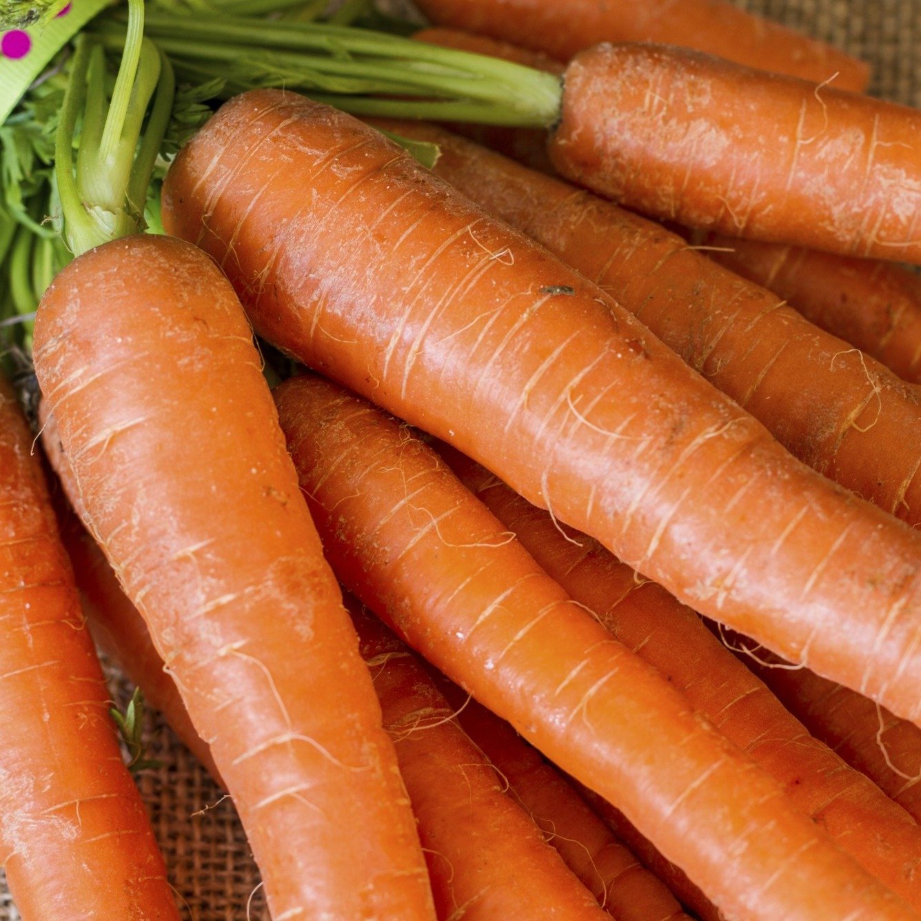 OSC Imperator Carrot Seeds - Packet