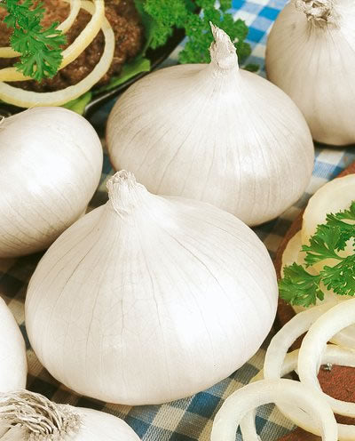 OSC White Sweet or Spanish Onion Seeds (Large Globe Type) - Packet