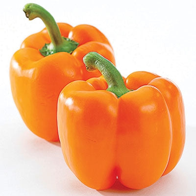 OSC Orange Sun Pepper Seeds (Bell Type) - Packet