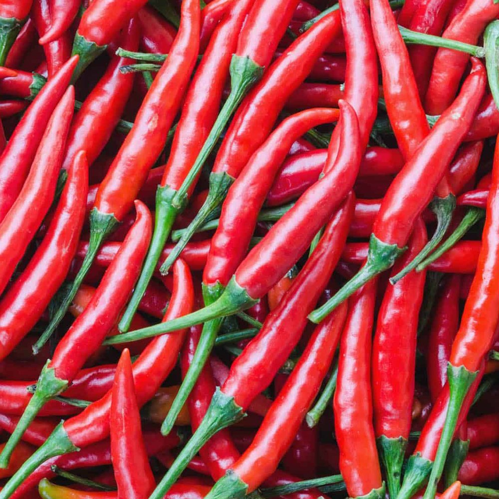 OSC Hot Long Red Cayenne Pepper Seeds - Packet