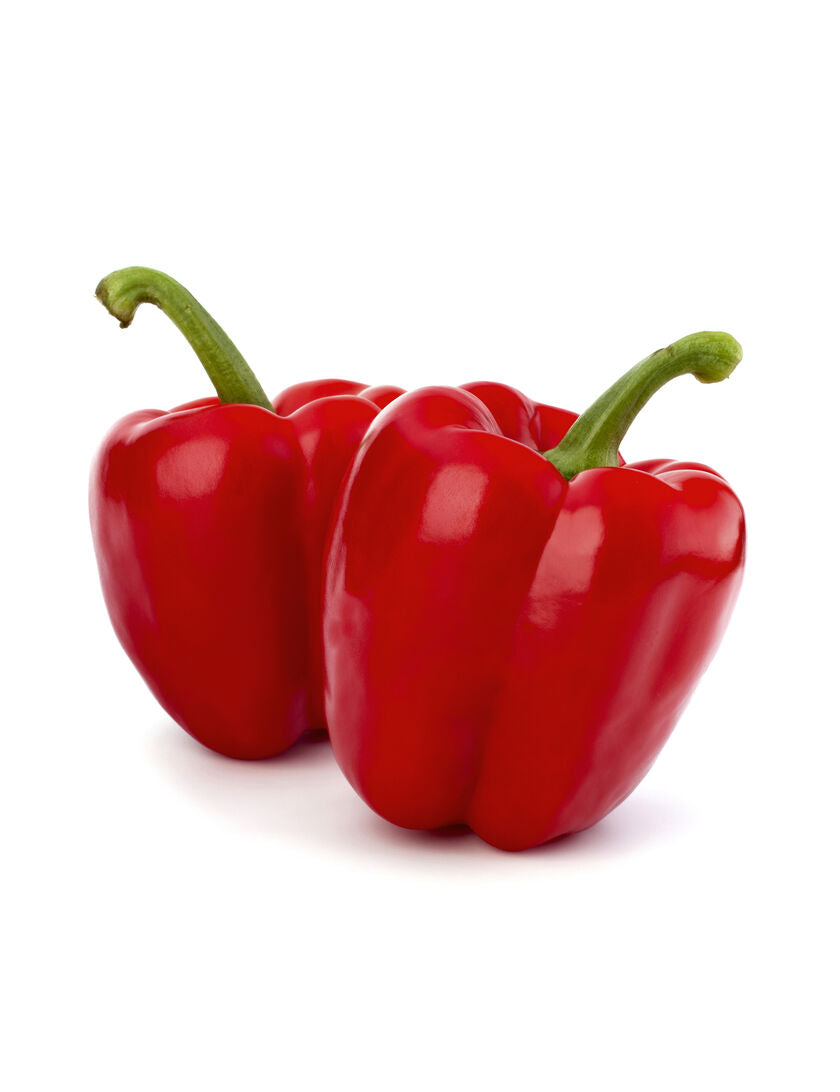 OSC Summer Red Pepper Seeds (Bell Type) - Packet