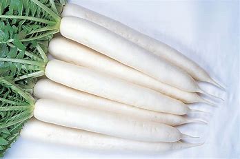 OSC Minowase Hybrid Radish Seeds (Daikon Winter Type) - Packet