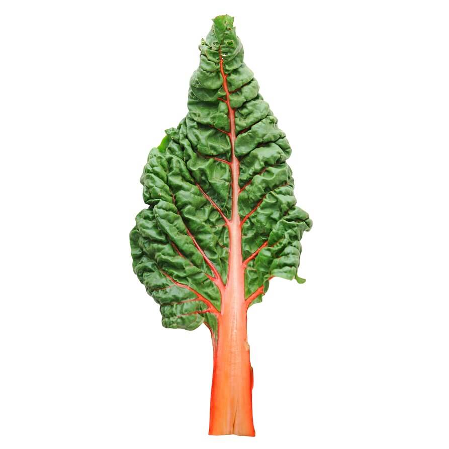 OSC Fantasia Orange Swiss Chard Seeds - Packet