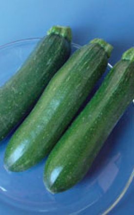OSC Dark Green Zucchini Squash Seeds (Bush Type) - Packet