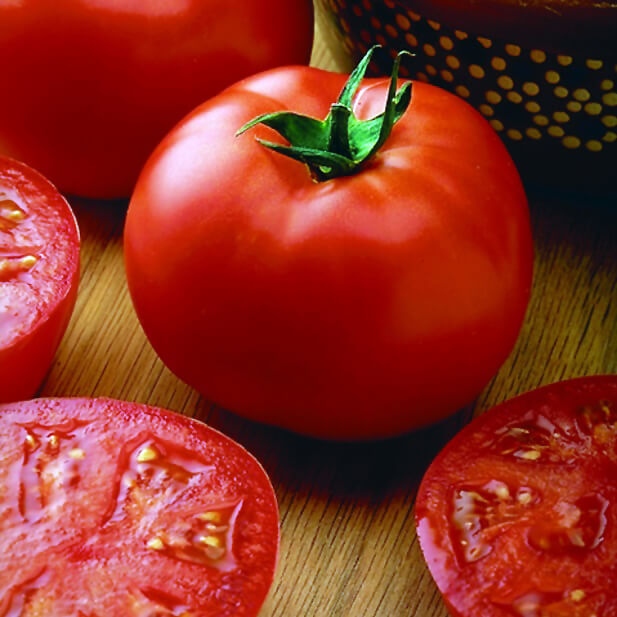 OSC Big Beef Hybrid Tomato Seeds (Italian Type) - Packet