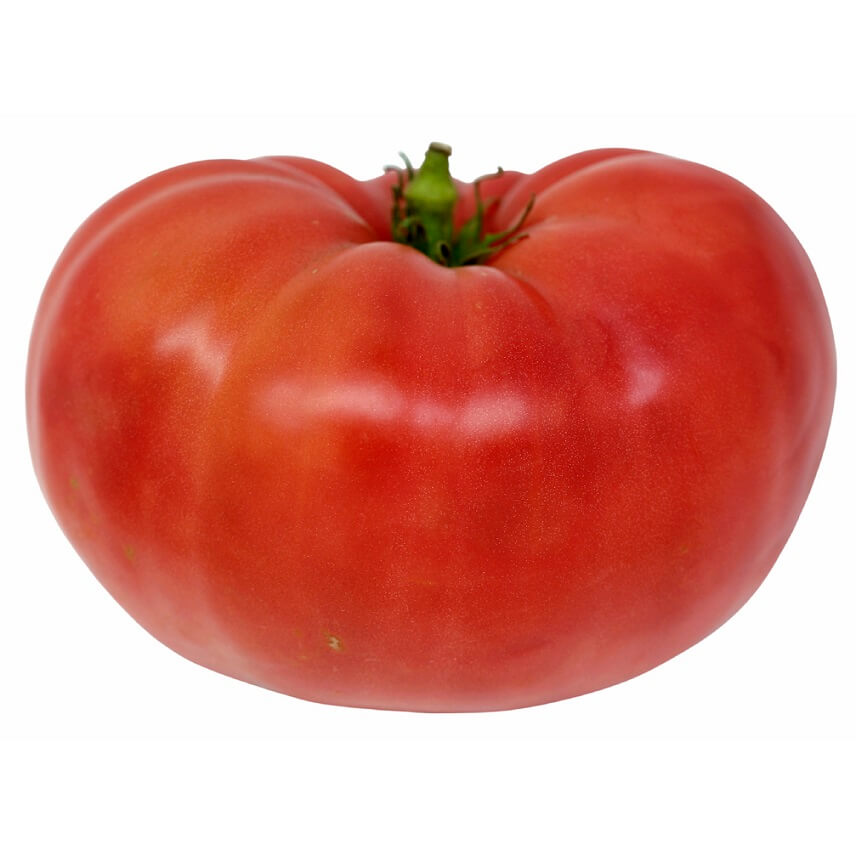 OSC Beefsteak Tomato Seeds - Packet