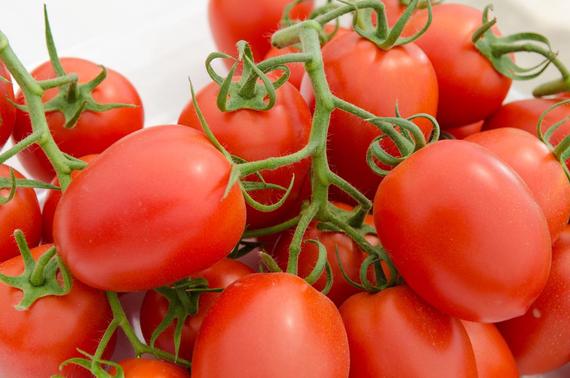 OSC Roma Tomato Seeds (Paste Type) - Packet