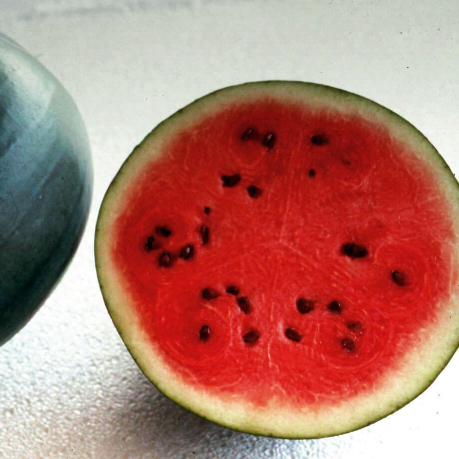 OSC Sugar Baby Watermelon Seeds - Packet