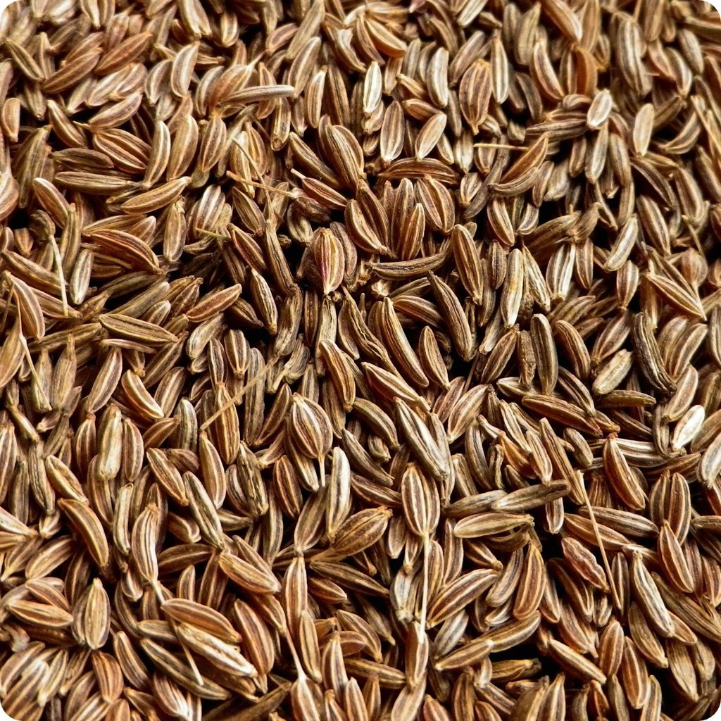 OSC Caraway Seeds - Packet