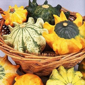 OSC Crown of Thorns Gourd Seeds - Packet