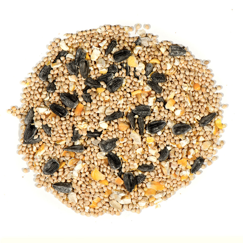 Premium Wild Bird Seed 10lb - Bulk