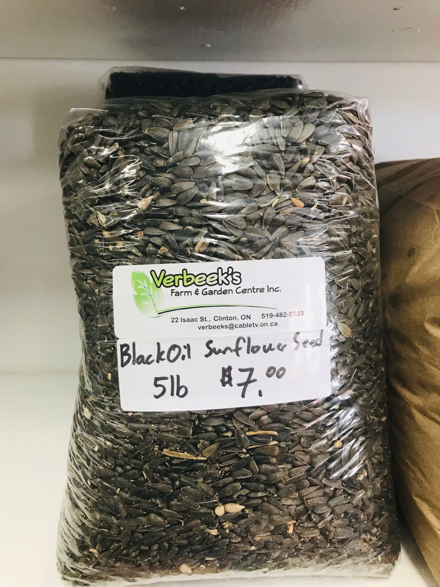 Black Oil Sunflower 5lb