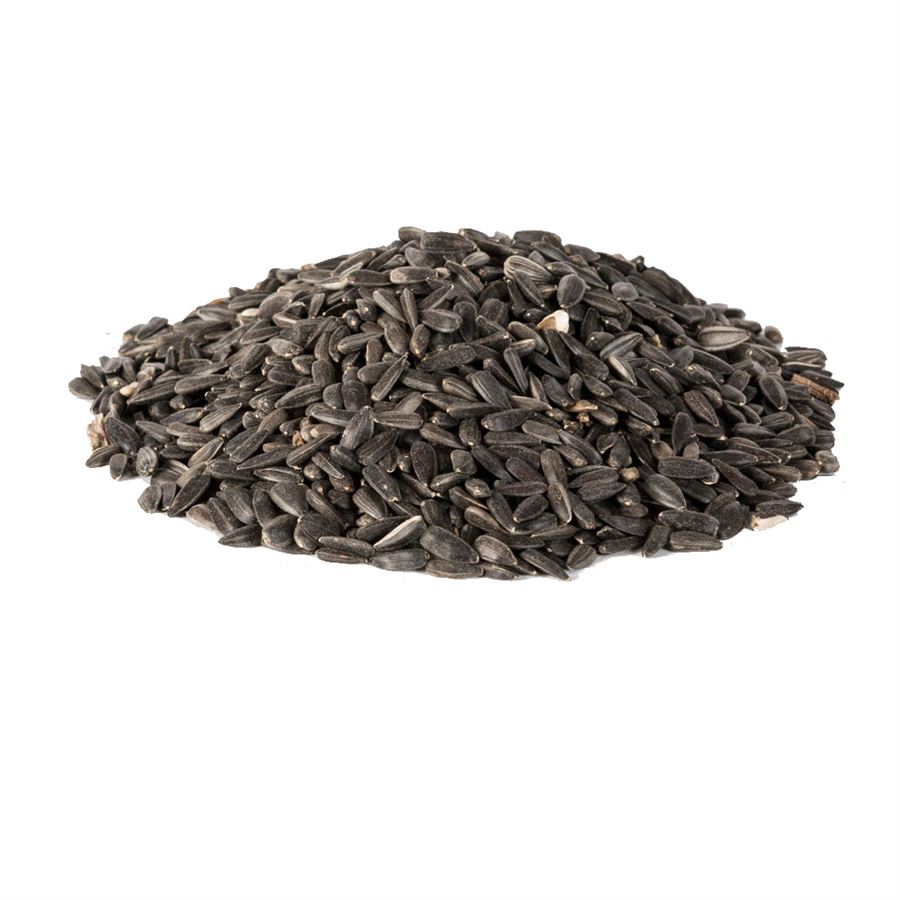 Black Oil Sunflower Seeds 10lb - Bulk