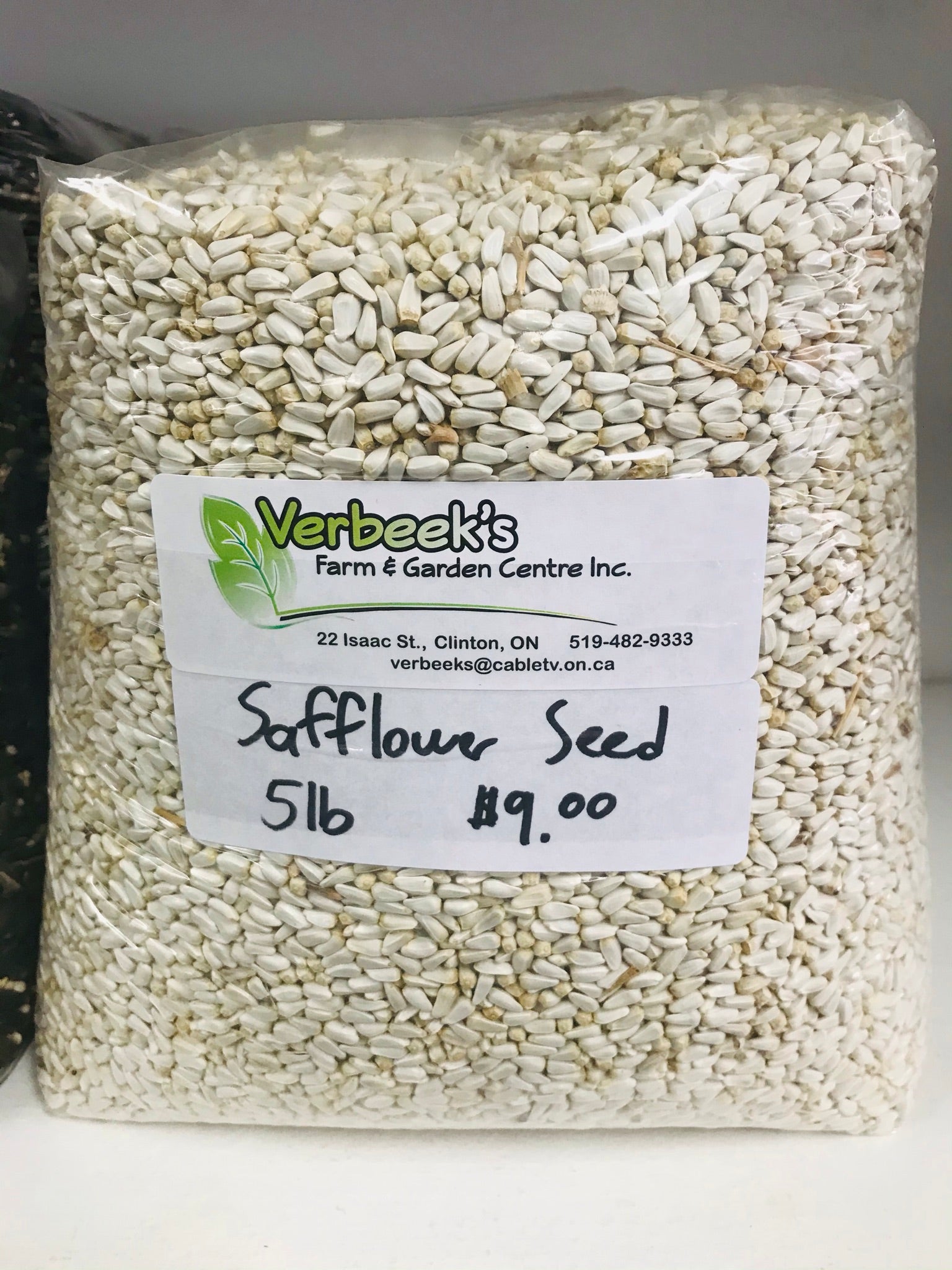 Safflower Seeds 5lb - Bulk