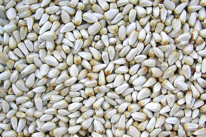 Safflower Seed - 10lb - Bulk