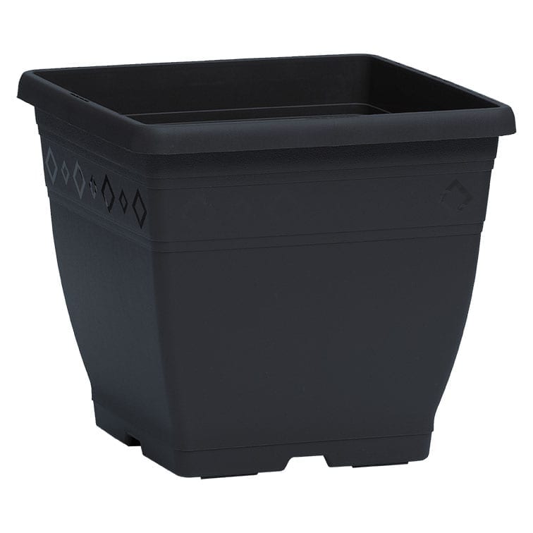 EPLA Sonja 19cm Square Decorative Pot - Black