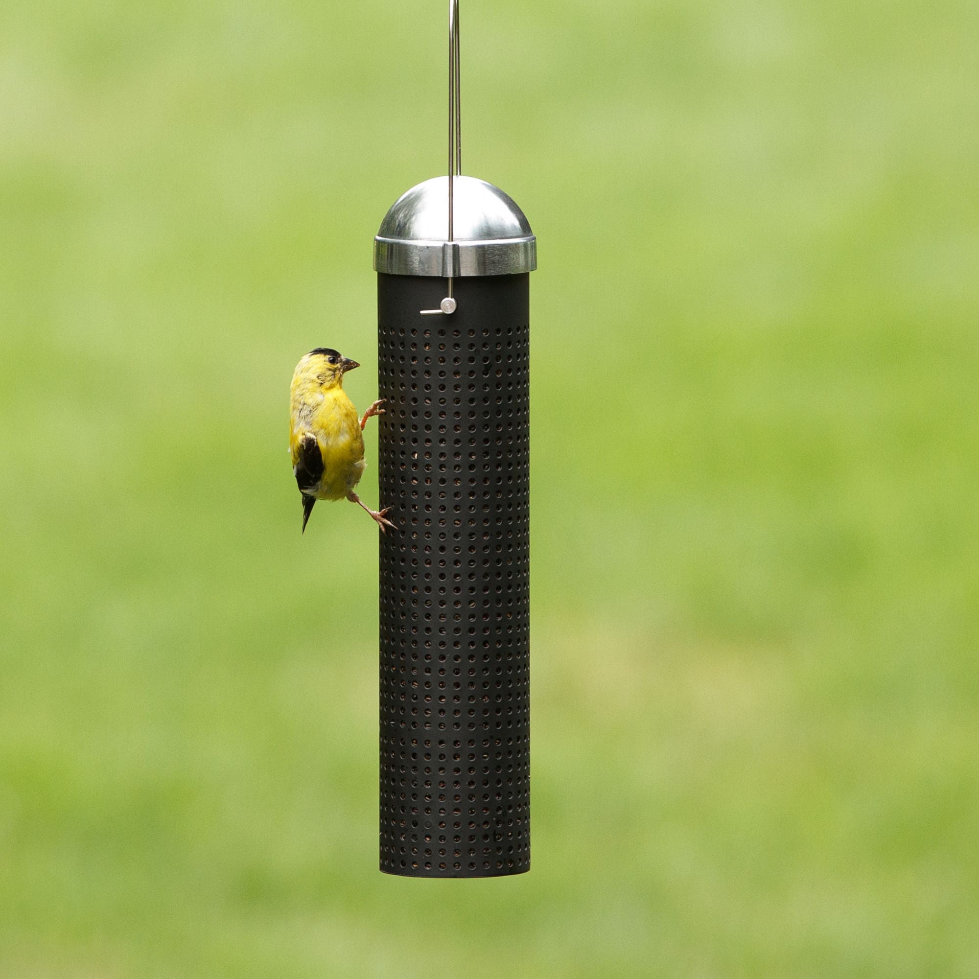 Perky Pet Finch Metal Tube Feeder - 10