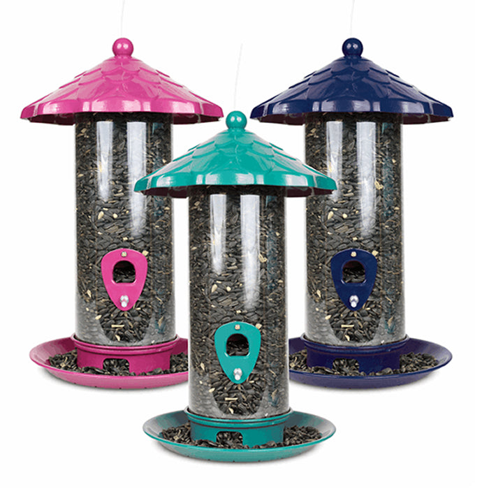 Pinebush Metal Tube Bird Feeder - Assorted Colours - 1.75 lb Capacity