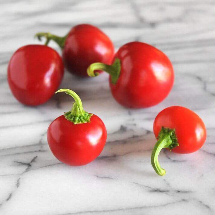 OSC Red Cherry Pepper Seeds (Hot Type) - Packet