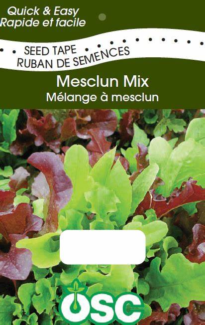 OSC Mesclun Mixture Seed Tape - Packet