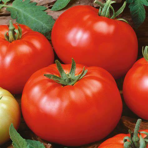 OSC Brandywine Tomato Seeds - Packet