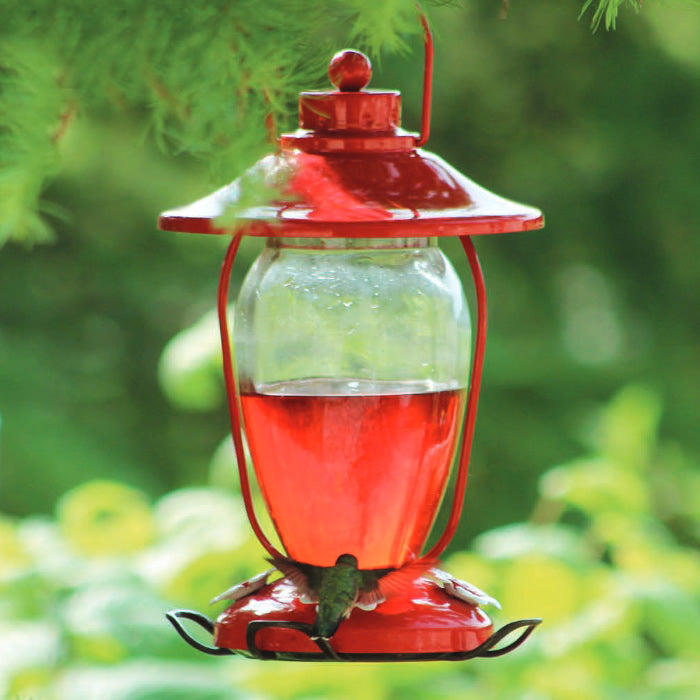 Lantern Style Glass Hummingbird Feeder