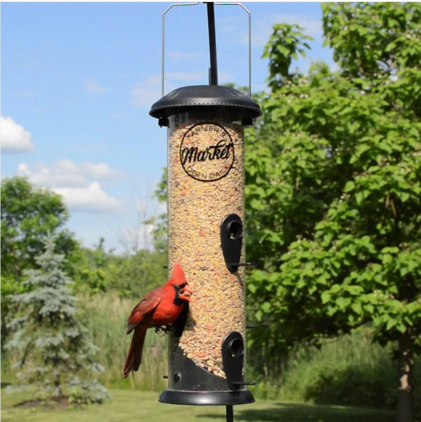 Wild Wings Farmhouse Easy Clean Bird Feeder, Black