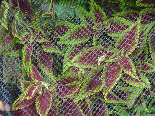 Dewitt Bird and Pond Netting  7' x 10'