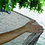 Dewitt Bird and Pond Netting  7' x 10'