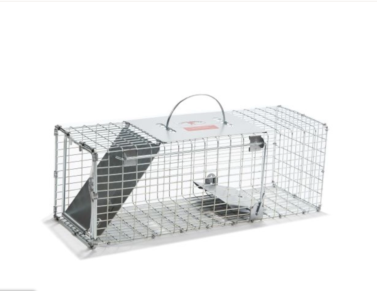 Little Giant Single Door Live Animal Trap