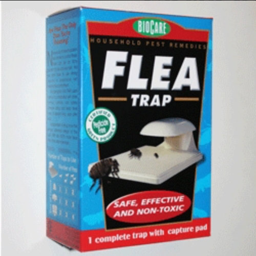 Springstar Biocare Flea Trap