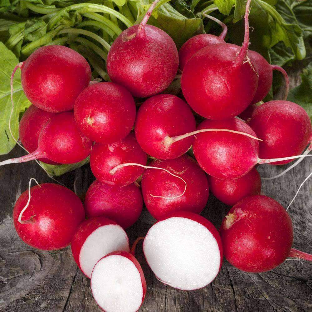 Aimers  Cherry Bell Organic Radish Seeds - Packet