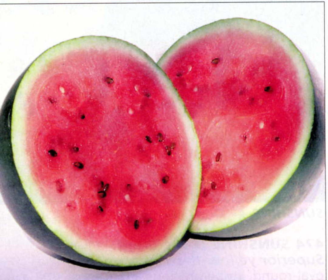Aimers Sugar Baby Organic Watermelon Seeds