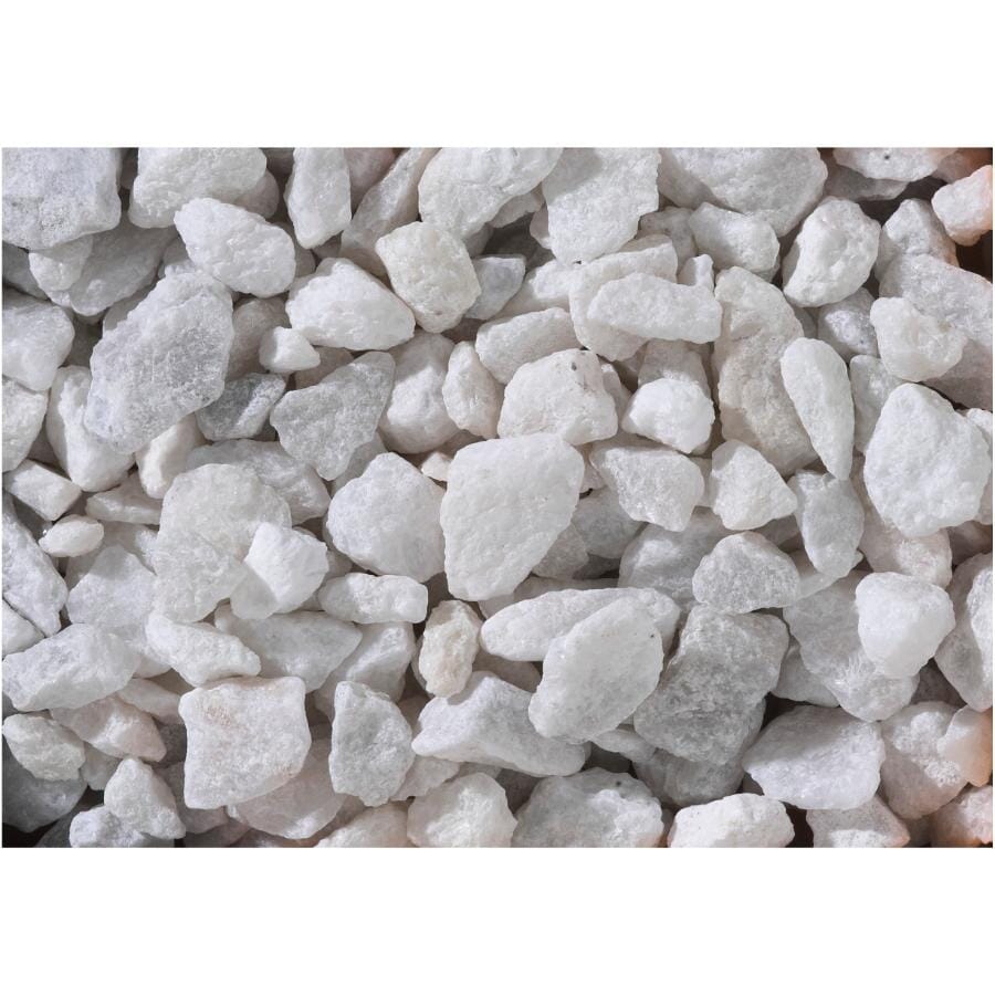 All Treat Small White Marble Stone (1/2