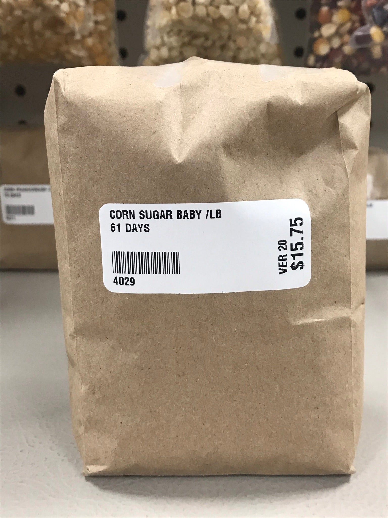 Sugar Baby Sweet Corn Seeds (61 Days) - 1lb - Bulk