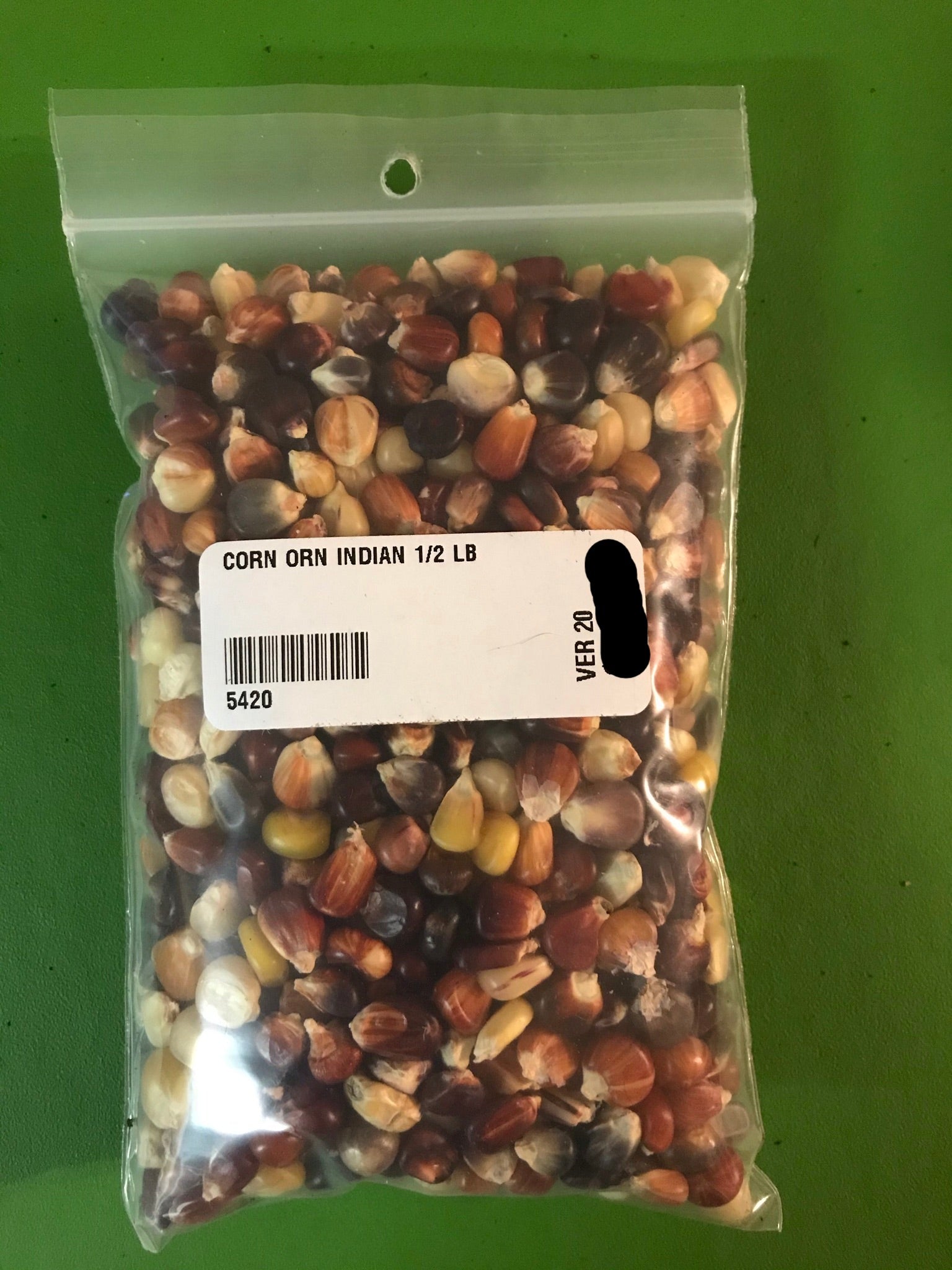 Ornamental Corn Seeds - 1/2lb - Bulk