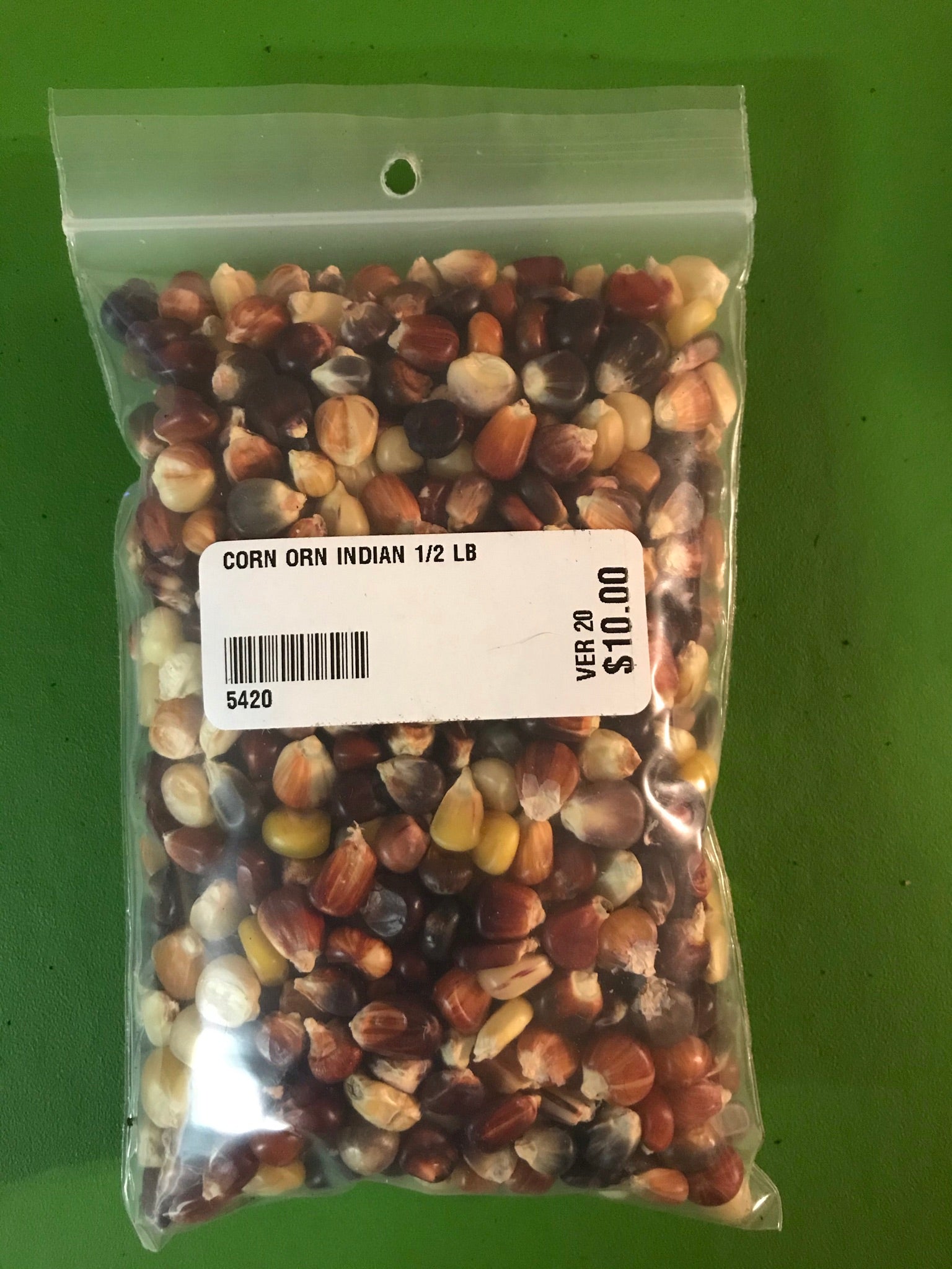 Ornamental Corn Seeds - 1/2lb - Bulk