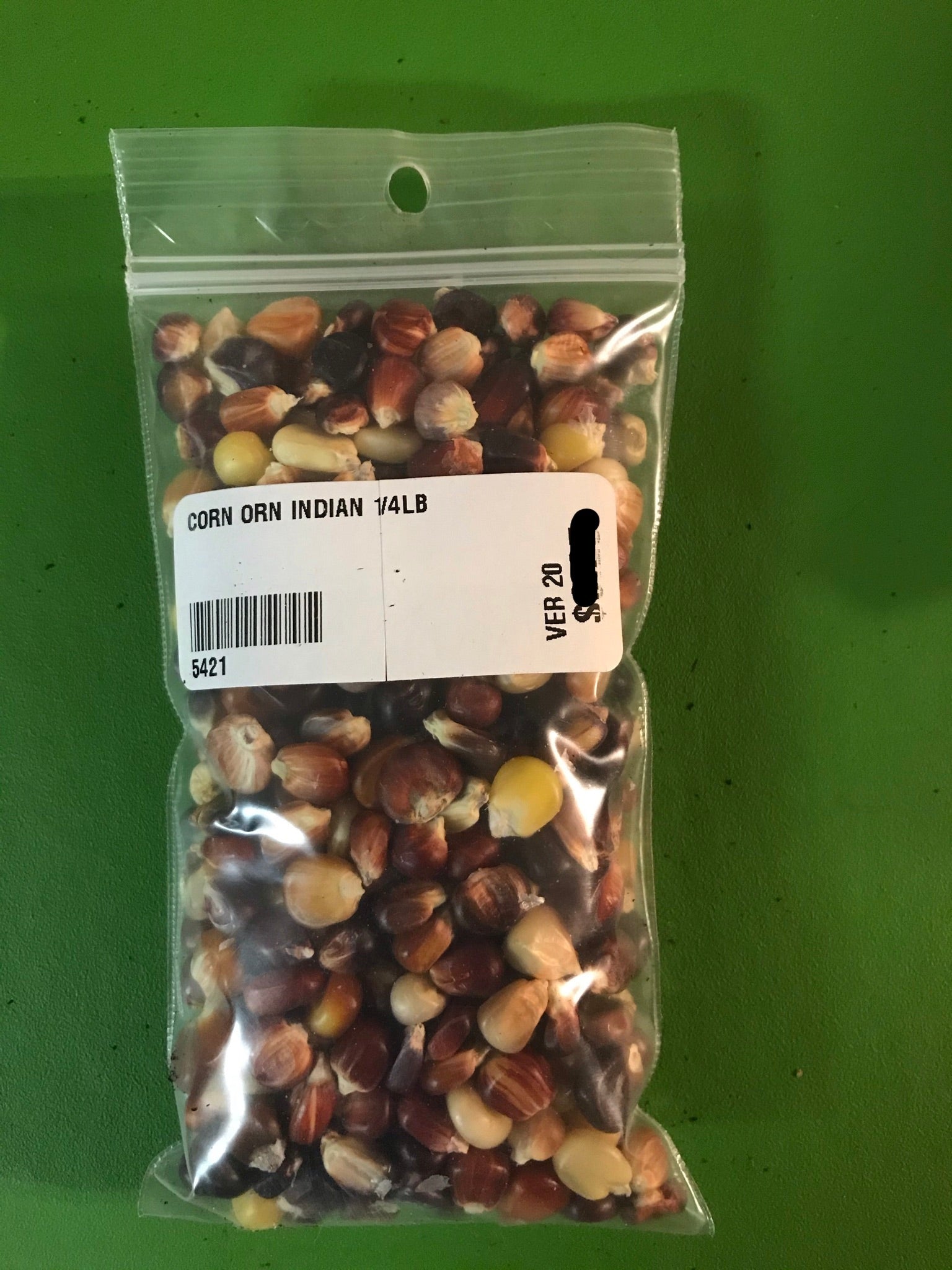 Ornamental Corn Seeds - 1/4lb - Bulk