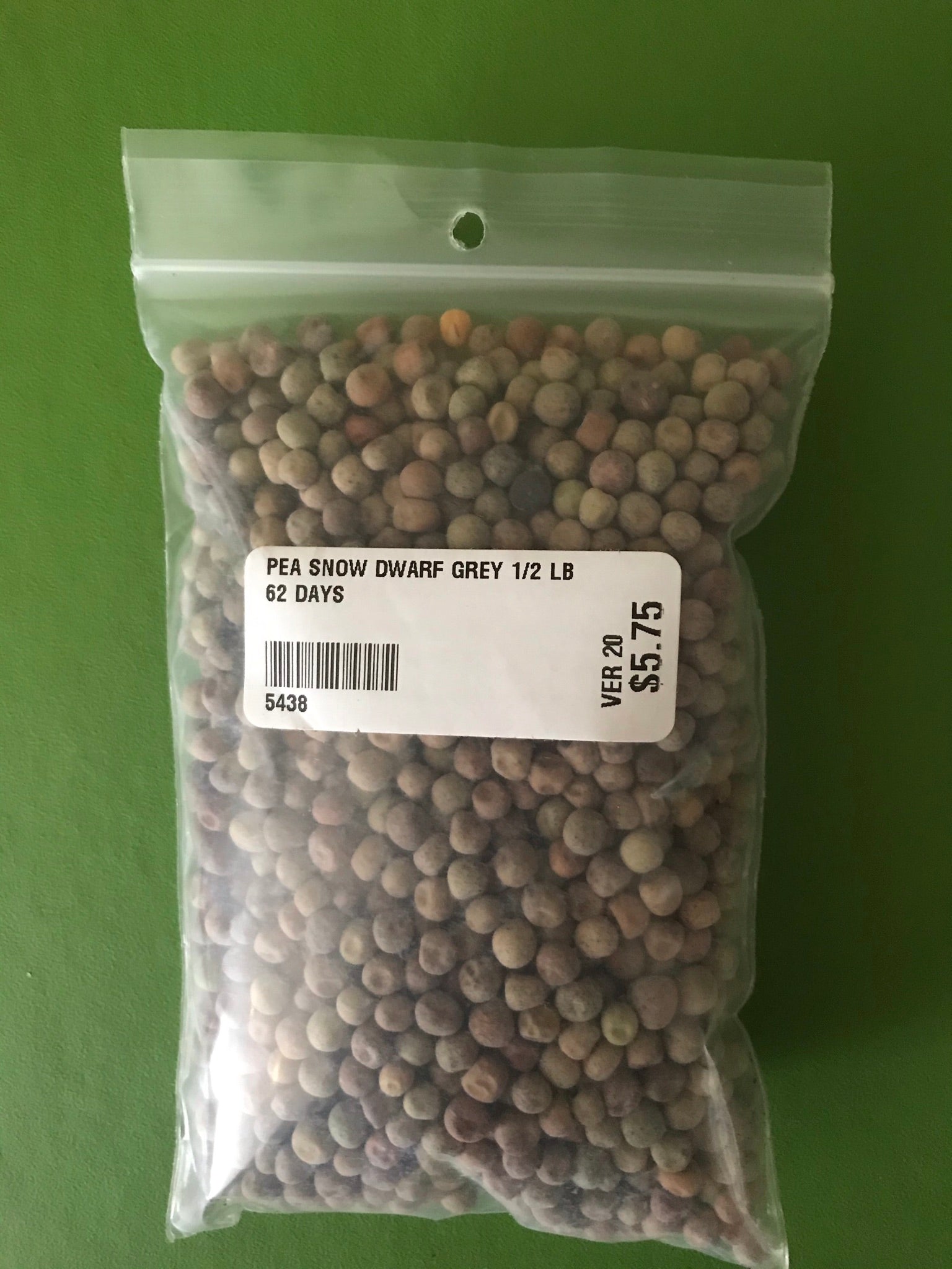 Dwarf Grey Sugar Edible Pod Pea Seeds (62 Days) - 1/2 lb - Bulk