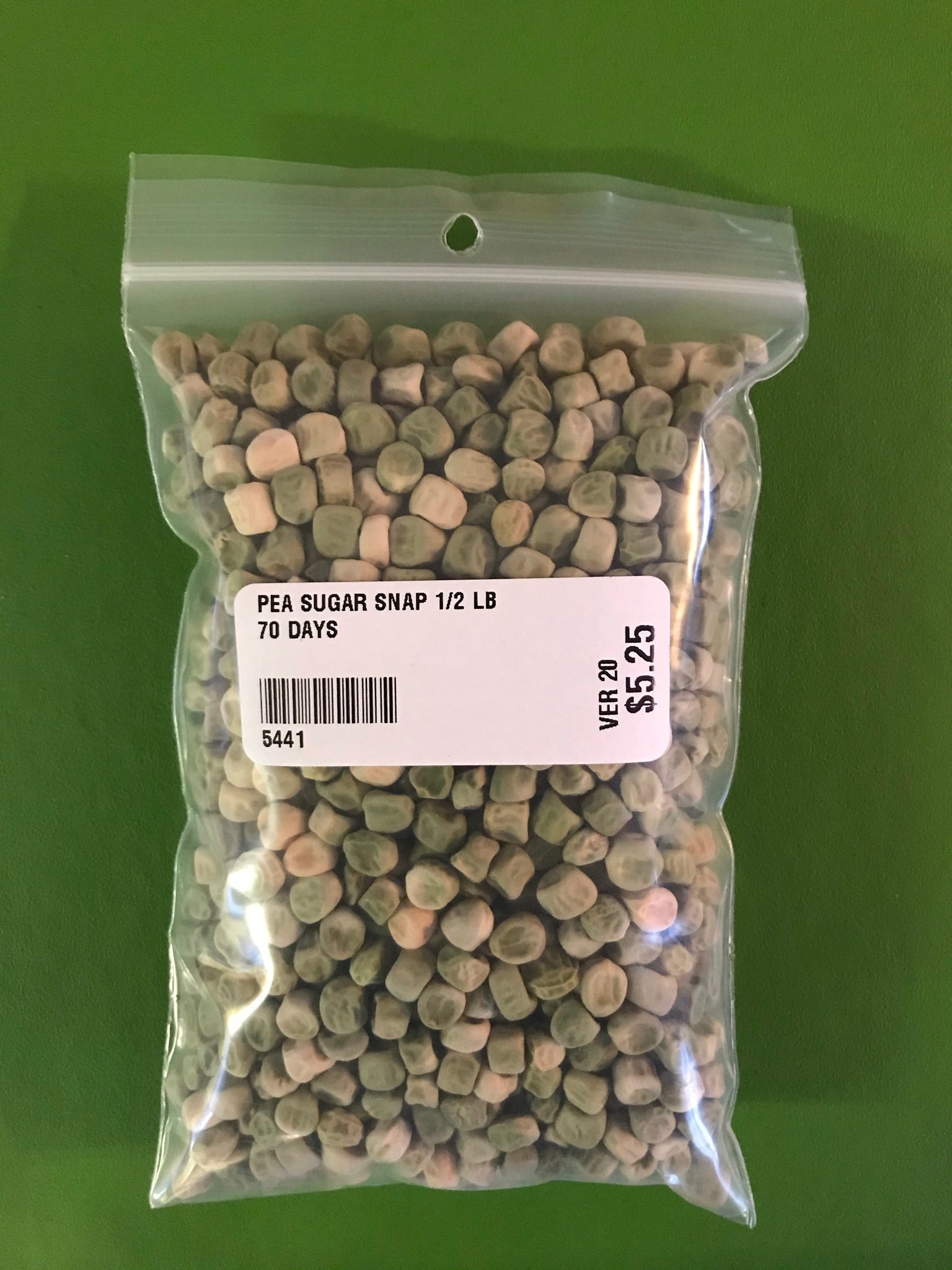 Sugar Snap Pea Seeds (Edible Pod Type) (70 Days) - 1/2 LB - Bulk