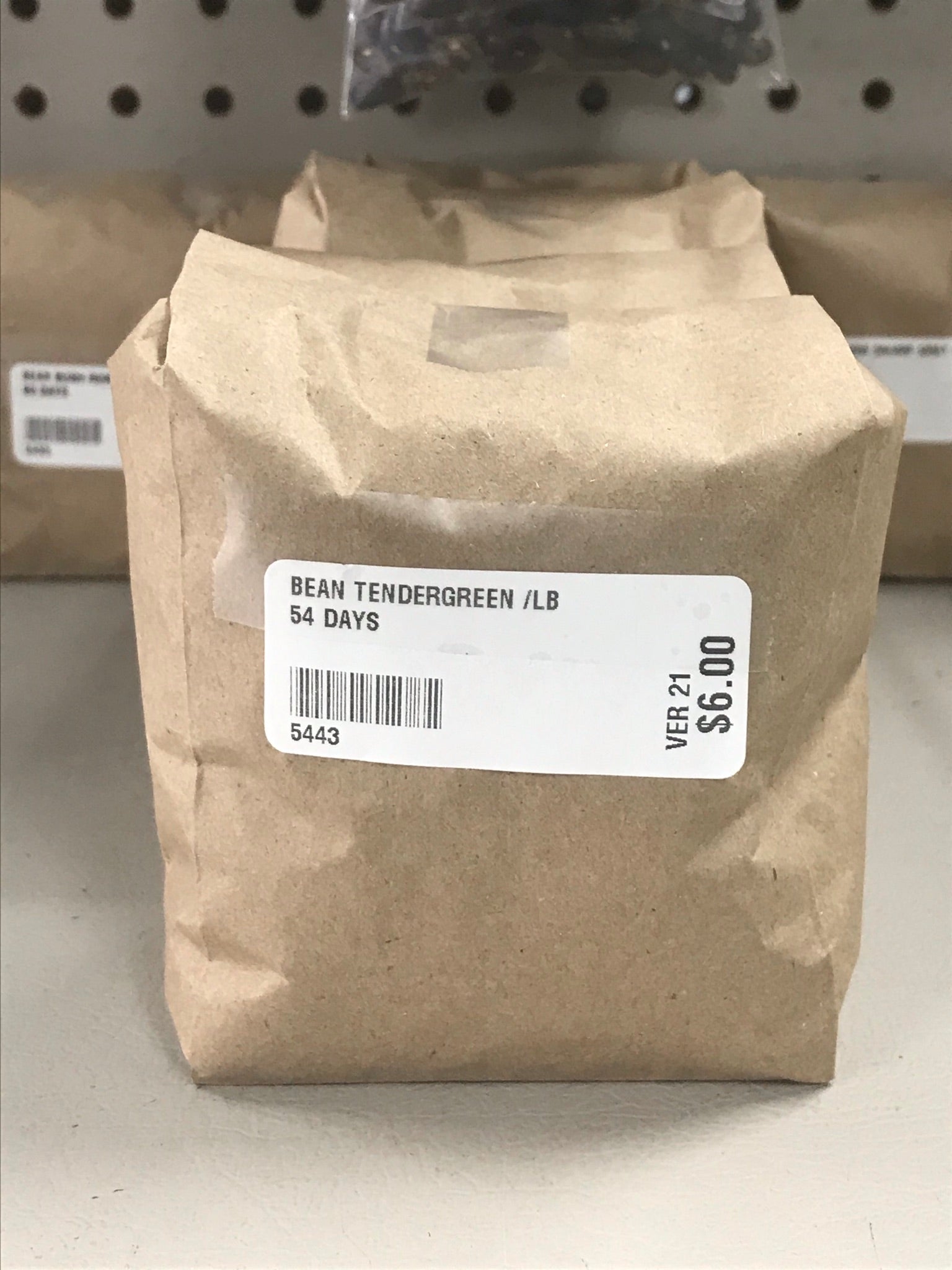 Tendergreen Bush Bean Seeds (54 Days) -  1 lb - Bulk