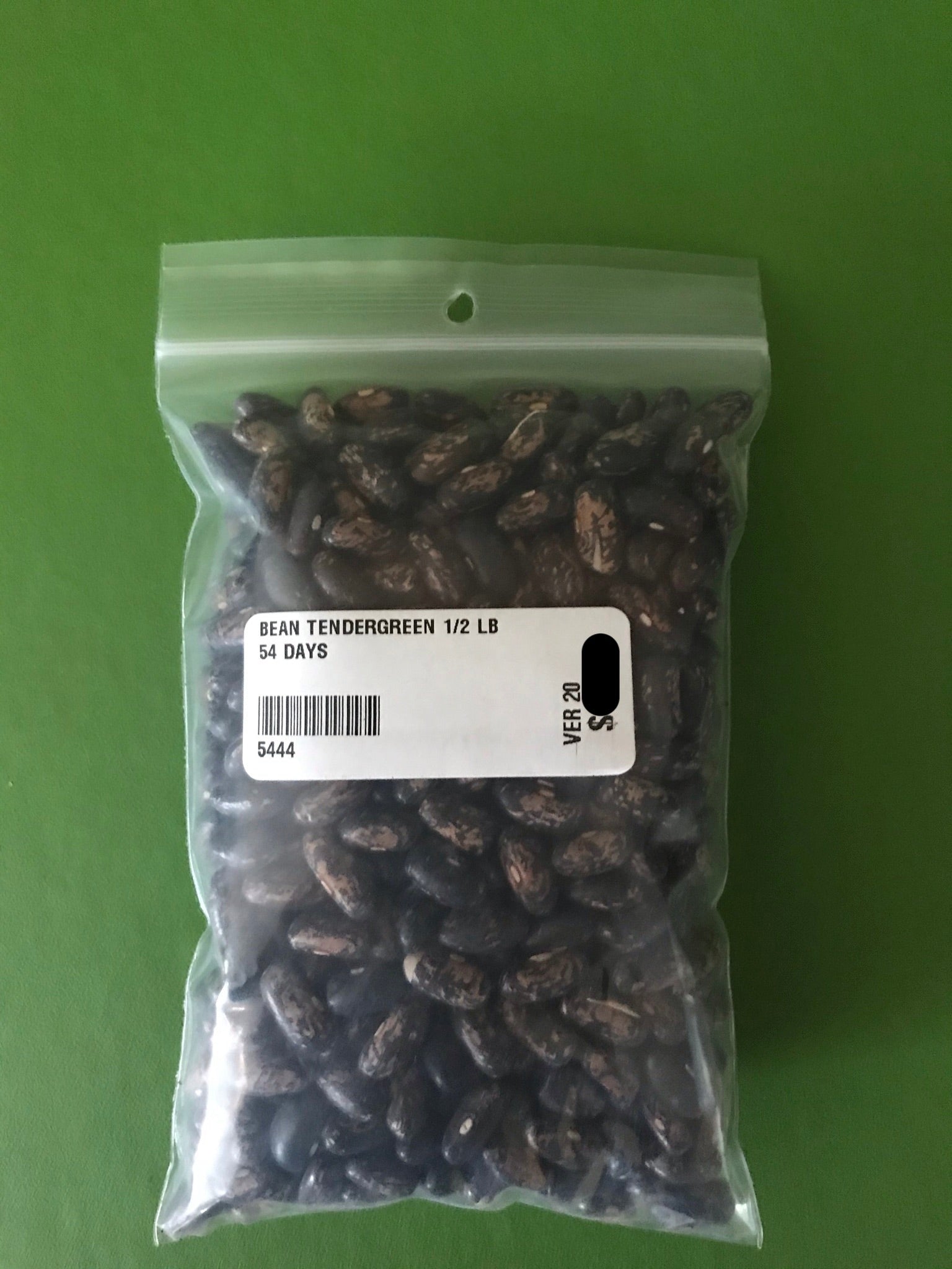Tendergreen Bush Bean Seeds (54 Days) - 1/2 lb - Bulk
