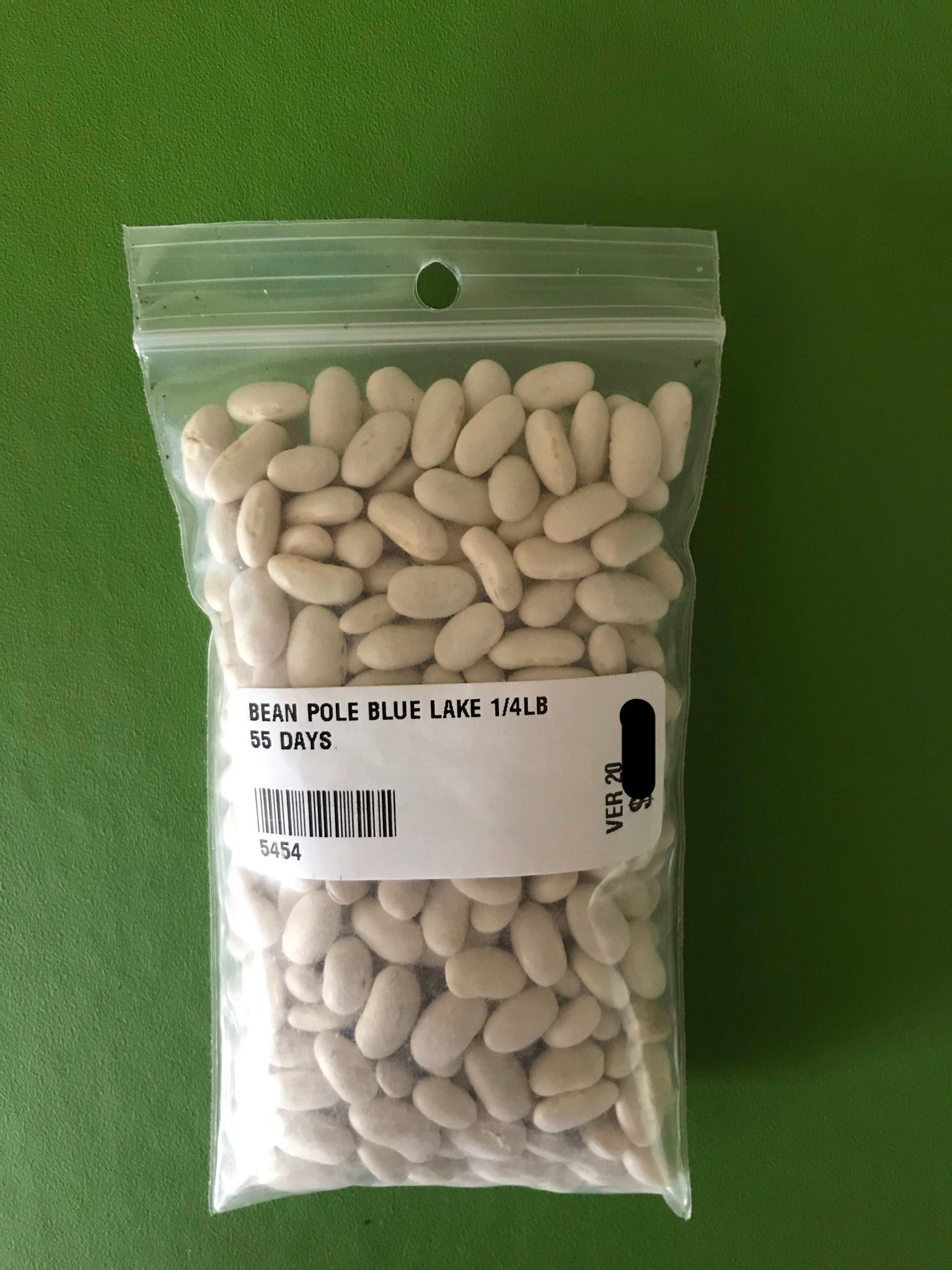Blue Lake Pole Bean Seeds (55 Days) -1/4 lb - Bulk