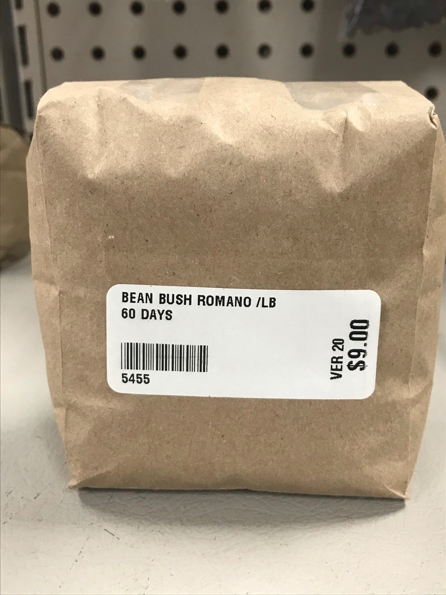 Romano No. 14 Bush Bean Seeds (60 Days) 1 lb - Bulk