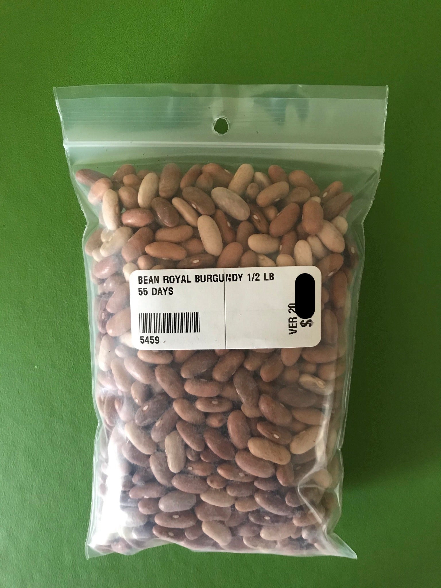 Royal Burgundy Bush Bean Seeds (55 Days) 1/2 lb - Bulk
